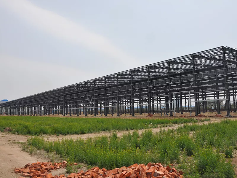 ইস্পাত গুদাম বিল্ডিং কিটস